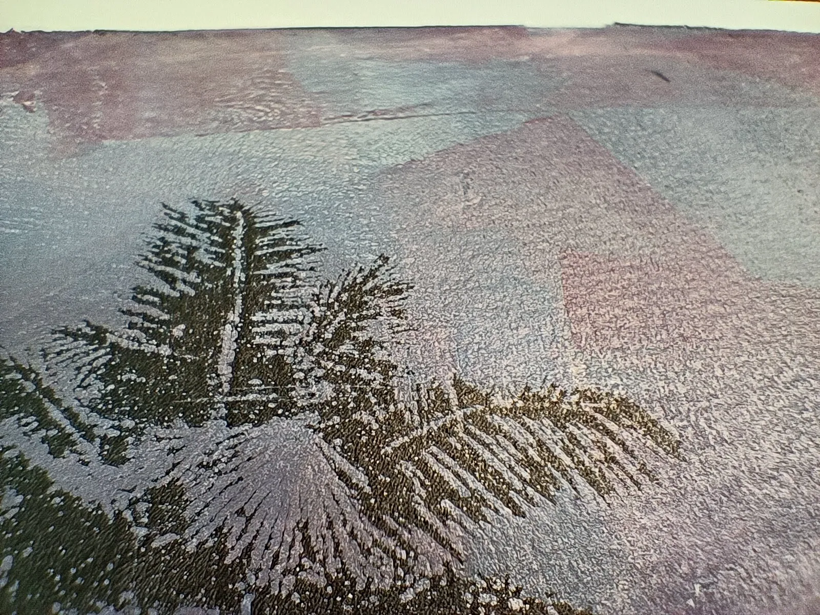 Close-up of paint on a gel plate by Daniel Arendzen: the texture of a coconut palm leaf transferred in dark ink over layers of pink, lilac and blue-grey acrylic paint